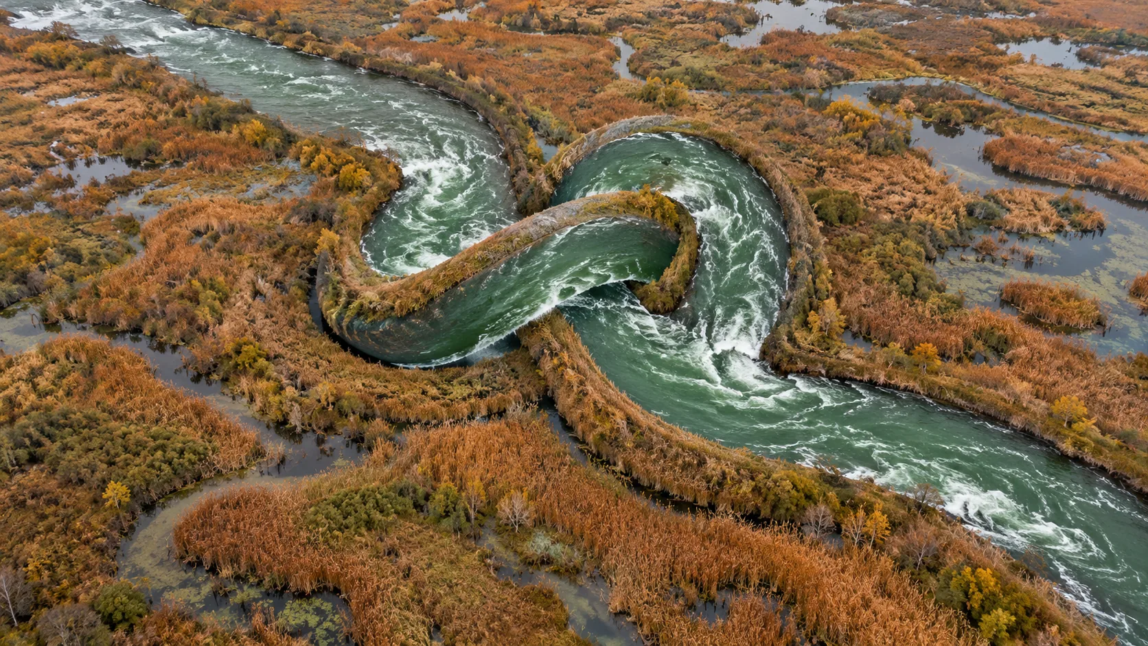 From above, a green river winds through an orange autumn marsh and ties itself into a single overhand knot, water flowing through the loop. The current takes the long way round.