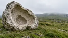 A pale boulder on a misty green hillside has a hollow in its middle the exact shape of a smaller stone. It has been looking everywhere.