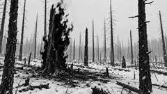 In a snowy burnt-out forest of black trunks, one stump burns with tall black flames that give off no light. It’s the only warm thing for miles and it doesn’t look it.