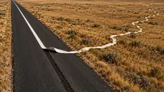 On a straight road across dry scrubland, the white centre line peels up off the tarmac and wanders away over the grass in a long curve. The road will have to manage.