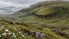 On a misty green moorland, one hillside has a huge closed eye in it, a long seam of grass with lashes of roots and heather. Nobody walks quietly enough up here.