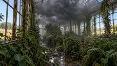 Inside an old overgrown glasshouse, a dark thundercloud fills the roof and rains on the ferns, lightning flickering, while it’s sunny outside. Very well watered.